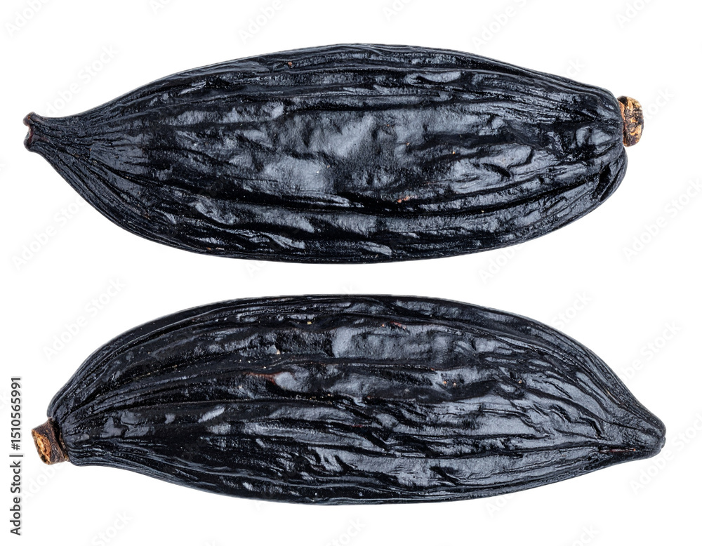 Tonka bean isolated on transparent background Tonka bean isolated on transparent background