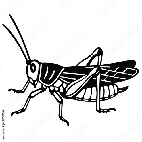 Grasshopper Silhouette, Black and White, Insect Vector Design