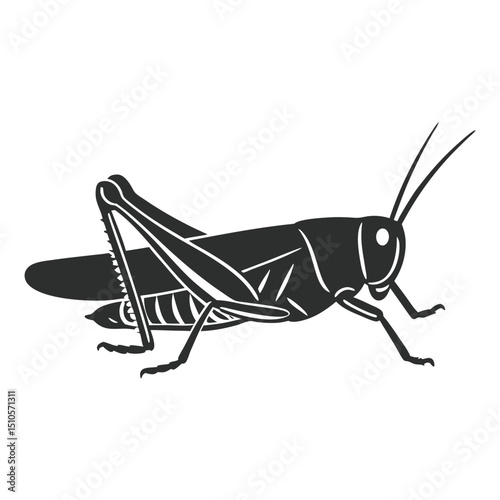 Black and White Grasshopper, Minimalist Vector Illustration