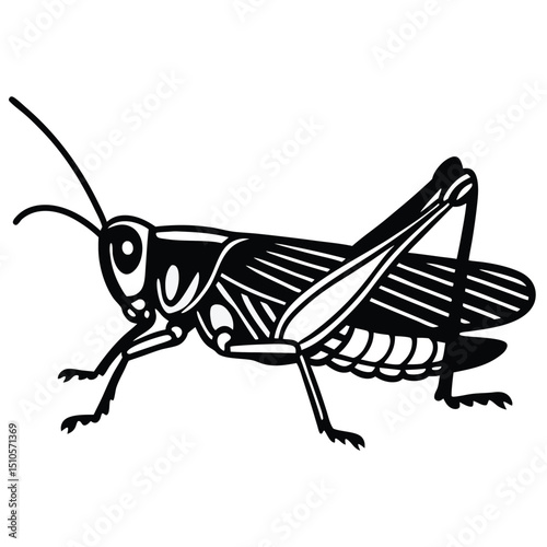 Grasshopper Illustration, Black and White, Vector Art