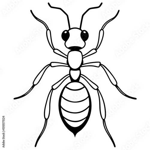 Ant line art  vector