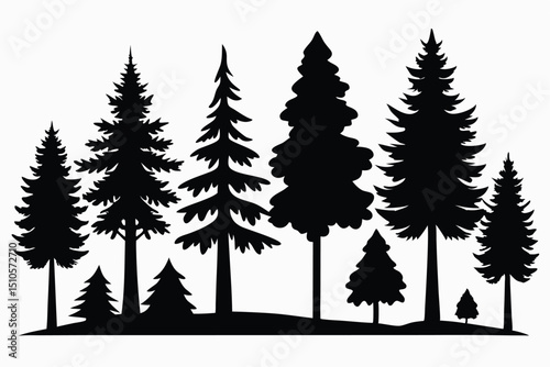 Silhouettes of evergreen trees in a forest landscape
