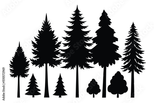 Silhouettes of evergreen trees in a forest scene