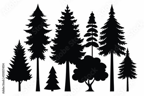 Silhouettes of various evergreen trees and shrubs in a forest