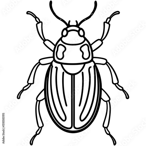Beetle line art vector