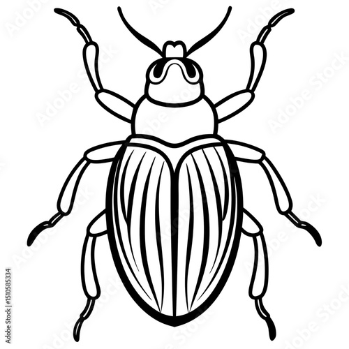 Beetle line art vector
