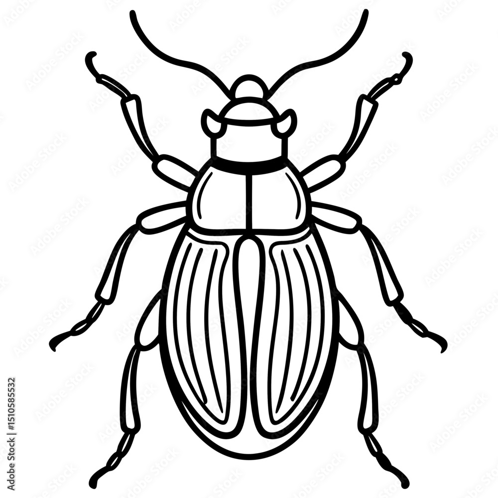 Beetle line art vector Beetle line art vector
