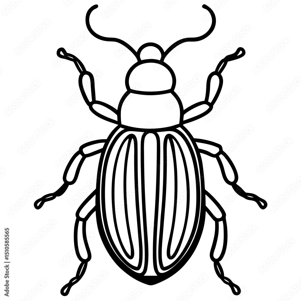 Beetle line art vector Beetle line art vector