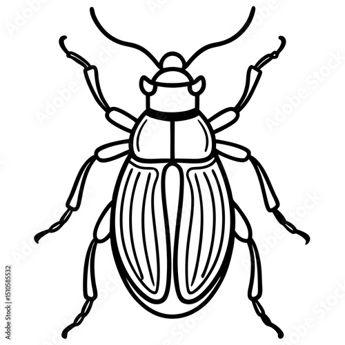 Beetle line art vector