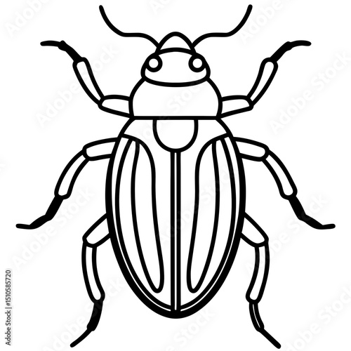 Beetle line art vector
