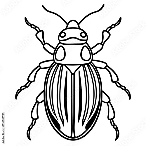 Beetle line art vector