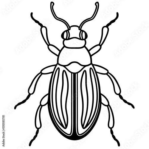 Beetle line art vector