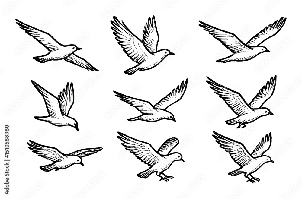 Obraz premium Hand-Drawn Bird Icons