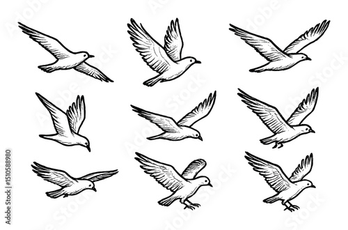 Hand-Drawn Bird Icons