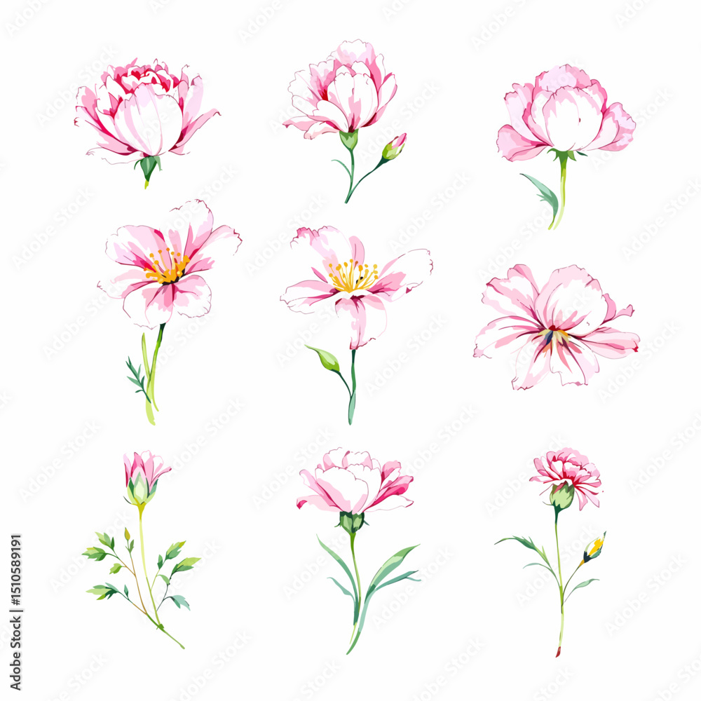 Fototapeta premium set of pink flowers