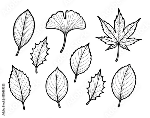 Sketch Leaf Icons