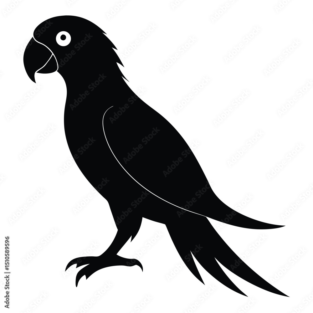 Fototapeta premium Silhouette parrot on white background