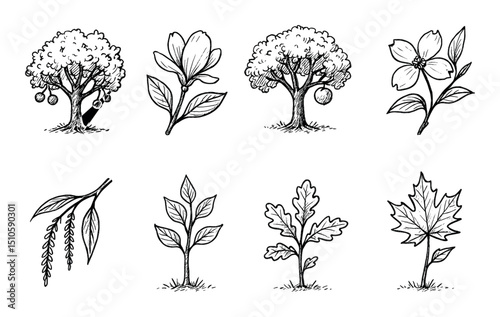 Hand-Drawn Tree Icons