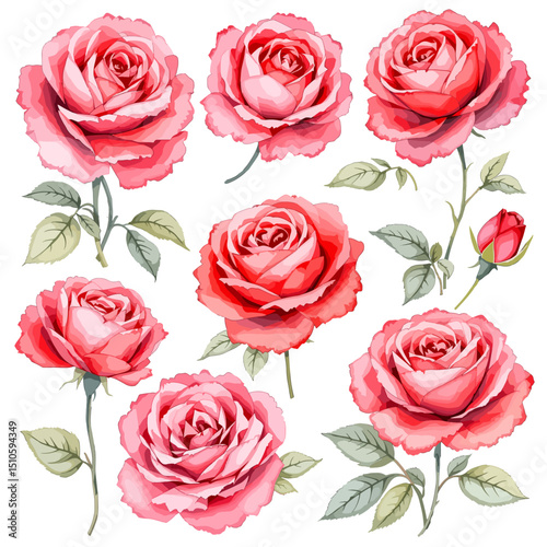 Elegant watercolor roses blooming in soft pink and crimson tones on a delicate white background