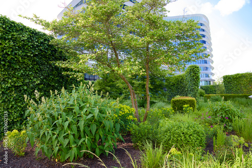 Urban green oasis for climate adaptation and biodiversity, city gardening at Kempkensberg Groningen