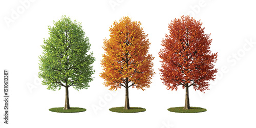 “Three Trees Showing Seasonal Change from Green to Autumn Orange and Red Leaves”