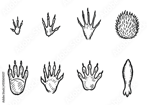 Animal Print Icons