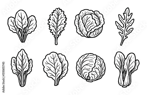 Leafy Greens Icons