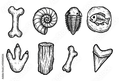 Fossil Sketch Icons