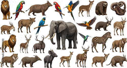A collection of realistic animal illustrations including a lion, tiger, elephant, zebra, deer, rhino, sloth, parrots, and various other mammals and birds.