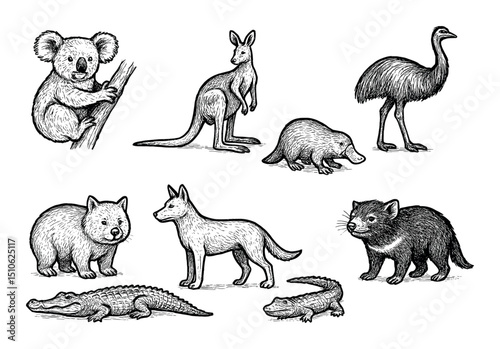 Australian Animal Icons