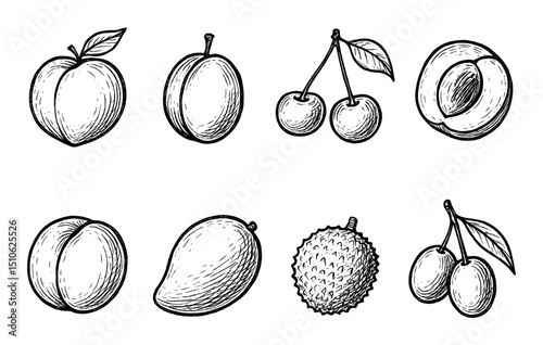 Hand-Drawn Fruit Icons