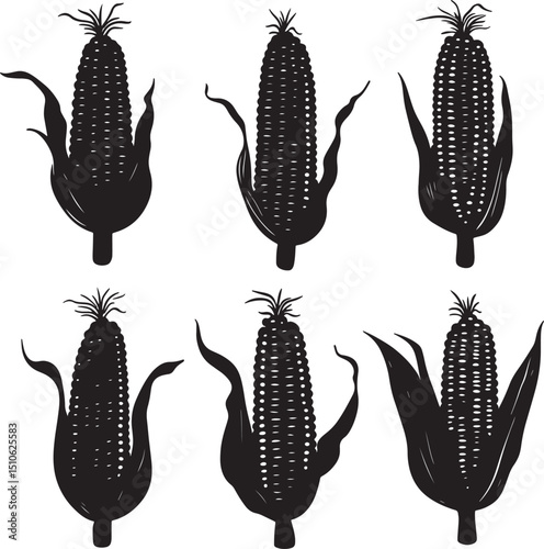 Collection of Sweet Corn clean simple vector silhouette black vector illustration