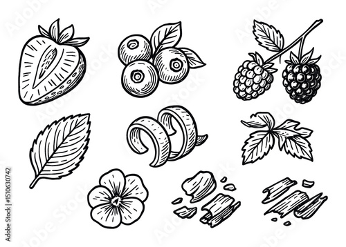 Berry Icon Collection