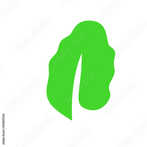 green leaf