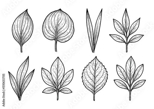 Botanical Leaf Icons