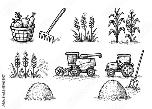 Harvest Icon Set