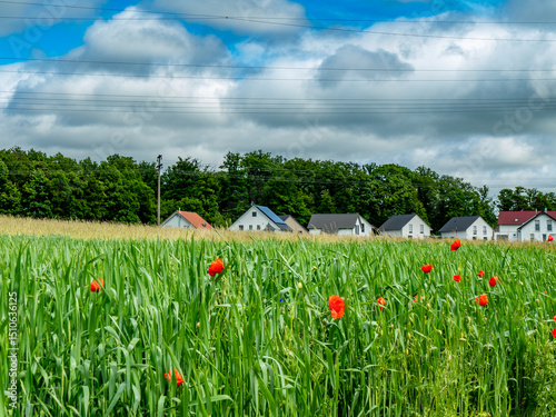Neubaugebiet am Ortsrand photo