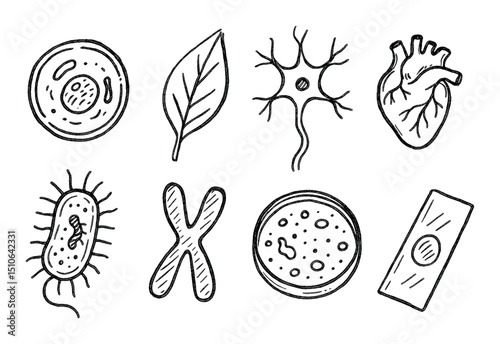 Scientific Sketch Icons