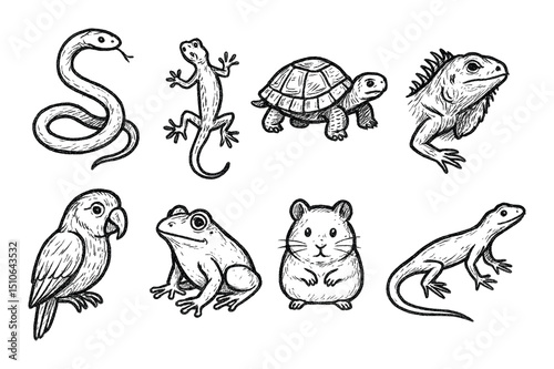 Hand-drawn Animal Icons