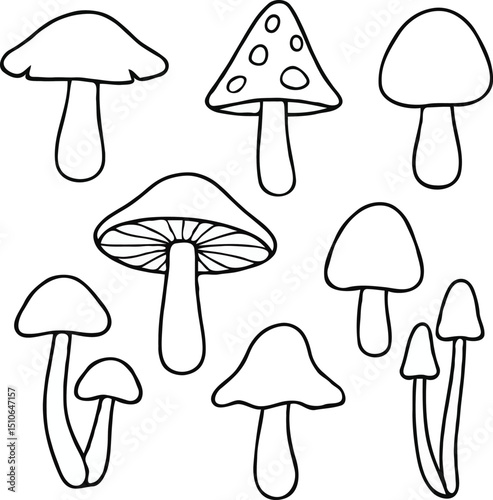 vector illustration of mushrooms outline