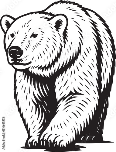 Polar bears are powerful Arctic predators known for their thick white fur and excellent swimming ability. They primarily hunt seals on sea ice and are well adapted to survive in harsh.
