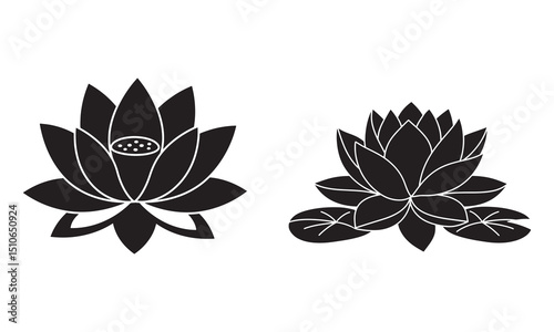 Detailed Black and White Lotus Flower Silhouette