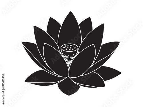 lotus flower vector illustration