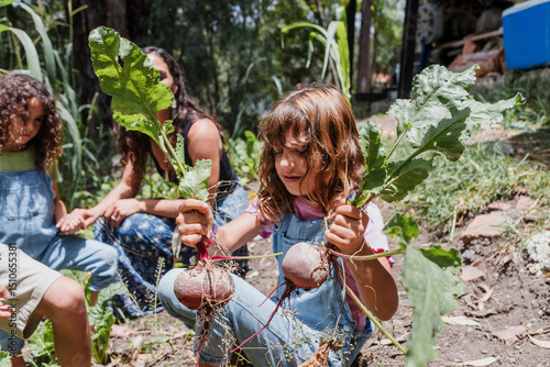 Latin children harvesting fruits and vegetables in the vegetable patch, agriculture concept at summer, hispanic family with little girl and boy in Mexico Latin America