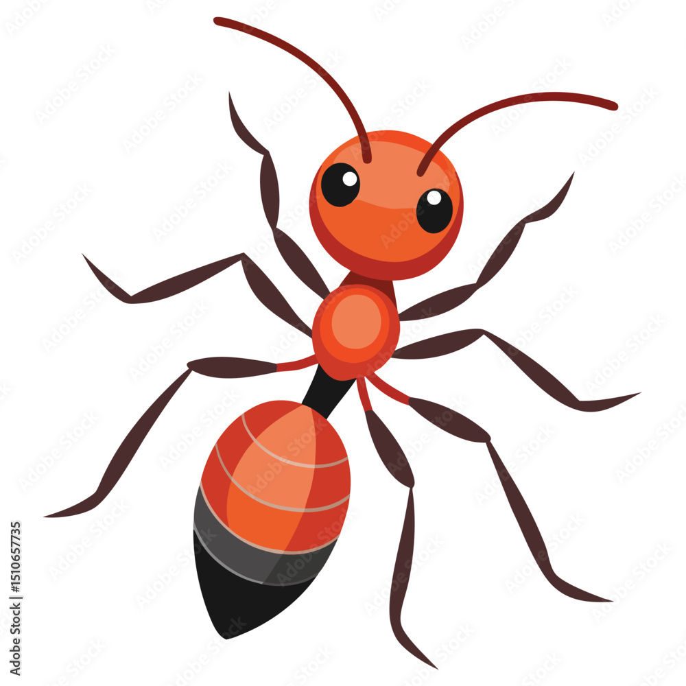 Fototapeta premium ant vector image on white background