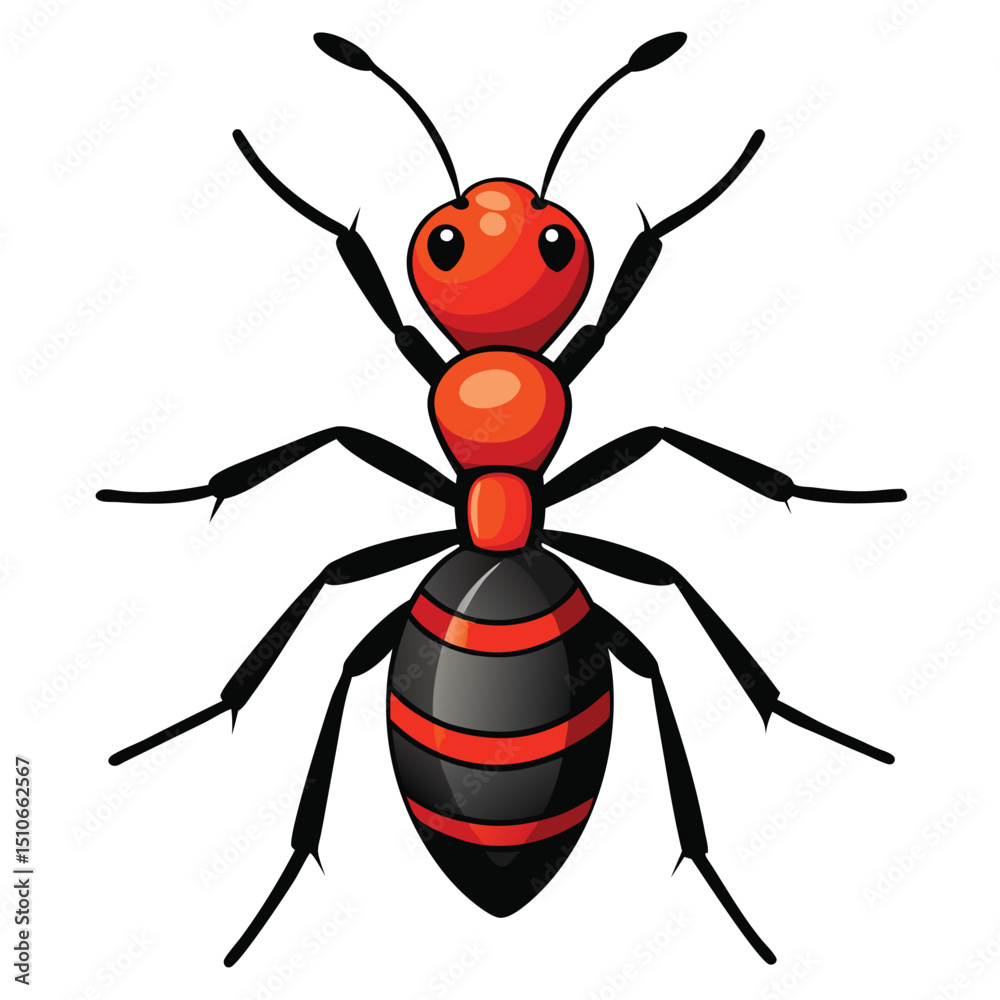 Fototapeta premium ant vector image on white background
