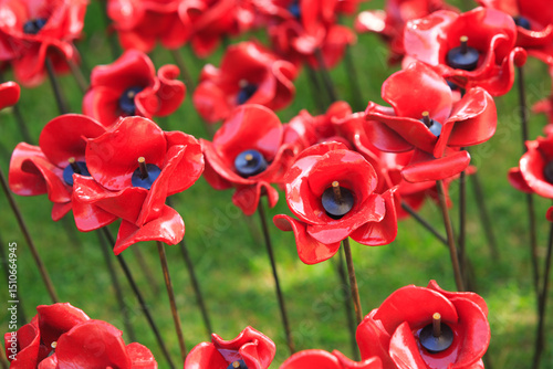 Fototapeta Naklejka Na Ścianę i Meble -  Close up view of a field of ceramic poppies on public display in celebration of 80 years since VE Day