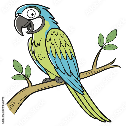 cheerful parrot