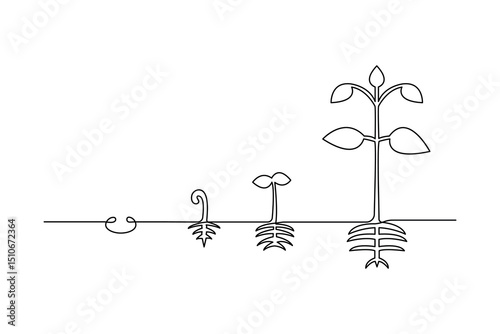 Plant growth process minimalist continuous one line art