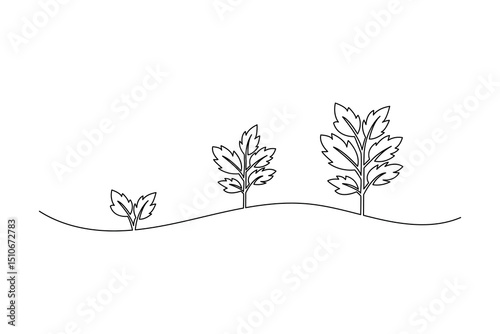 Plant growth process minimalist continuous one line art